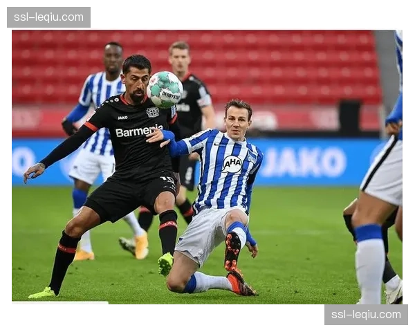 柏林赫塔为新主场建设方案举行公众听证会